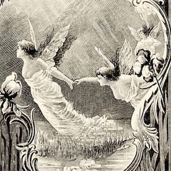 Meet your Poshers, Isabel and Victoria - Picture 1 of 1